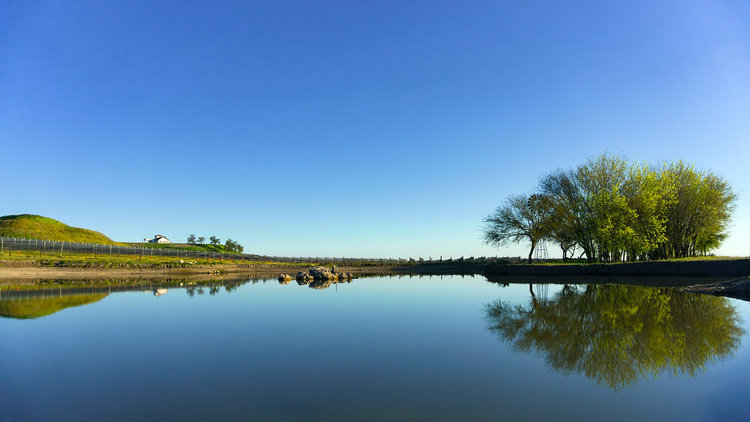 氨氮检测