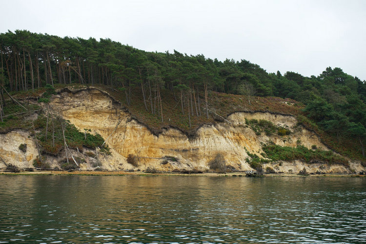 水质检测