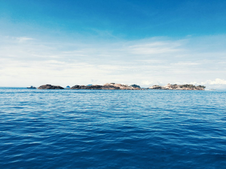 浊度在线检测仪