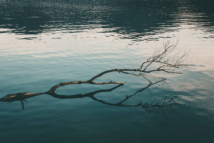 余氯在线监测仪