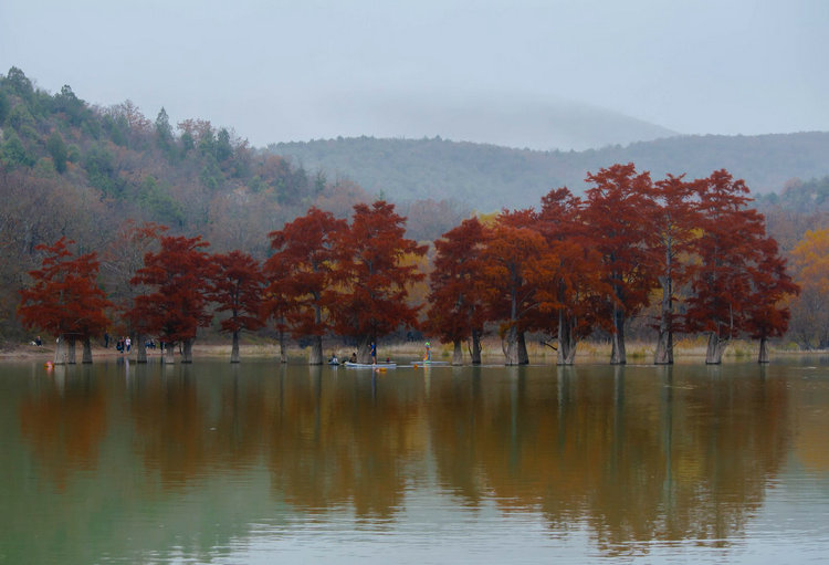 余氯仪