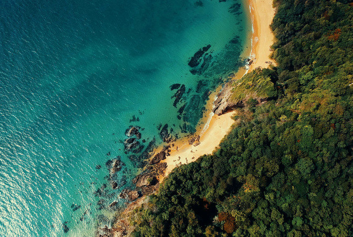 智能氨氮测定仪