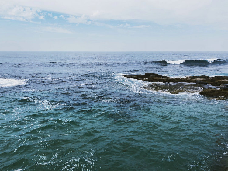 氨氮浓度检测