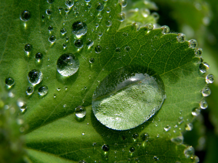 氨氮传感器